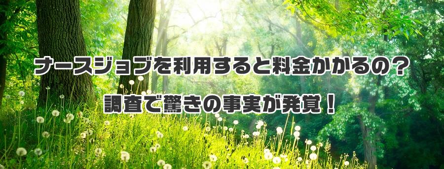 ナースジョブを利用すると料金かかるの?調査で驚きの事実が発覚!